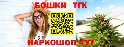 гашик Гай