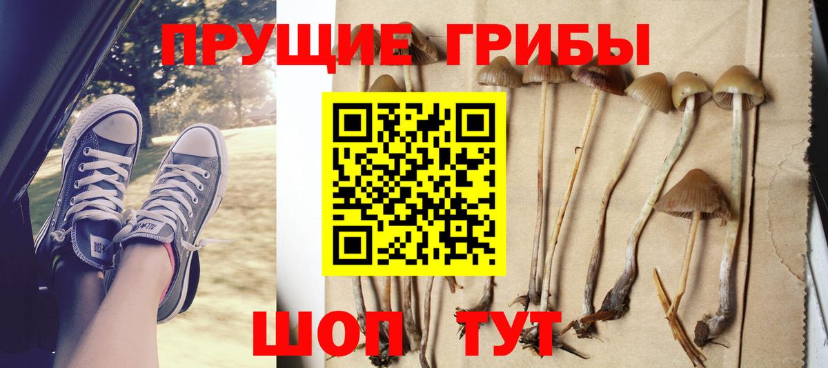 дарнет шоп  Галлюциногенные грибы Psilocybe  Вход с VPN  Отрадное  Галлюциногенные грибы Psilocybine cubensis 