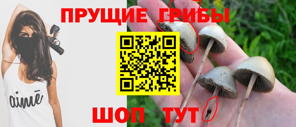 Галлюциногенные грибы ЛСД Отрадное