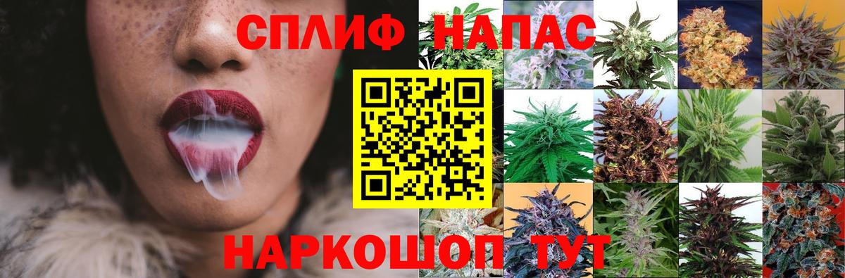  COCAIN Отрадное